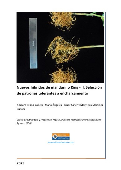 Nuevos híbridos de mandarino King - II. Selección de patrones tolerantes al encharcamiento